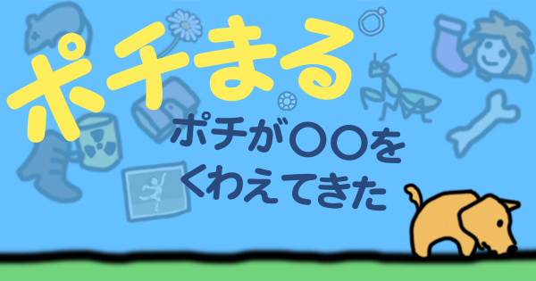 ポチまる ポチが〇〇をくわえてきた